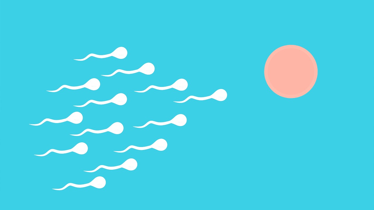 Sperma sano e alimentazione